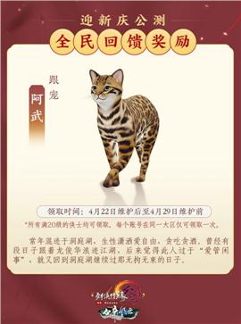 天龙八部私服及时雨外挂